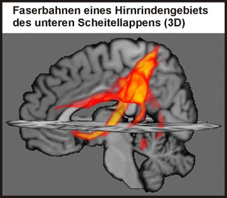 Faserbahnen